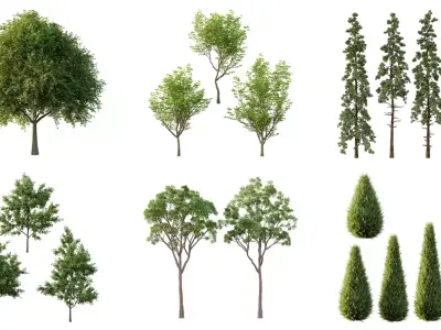 Excellent collection of Tree plants 18 Different Models 0024
