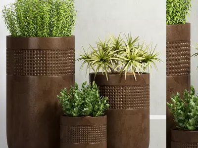Decorative plant set-32 3D model