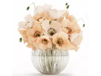 Beautiful Bouquet White Beige Wild Flowers Poppy 570 3D model