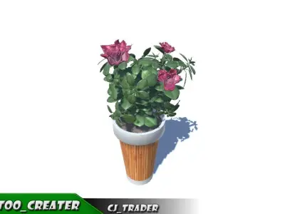 Decorative plant set Red-Flower 3D Model 3D model