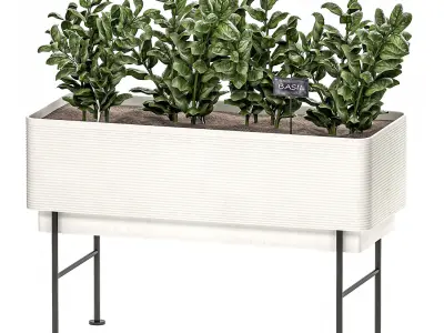 Home mini-garden in a pot in the kitchen 526 3D model