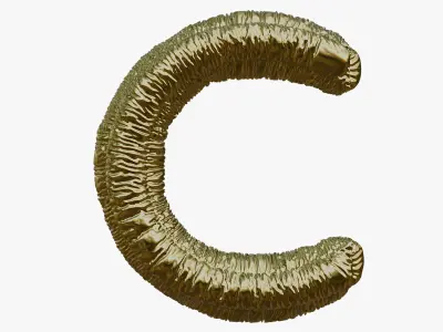 Realistic 3D Model OF Balloon C Alphabet in Gold 3D model