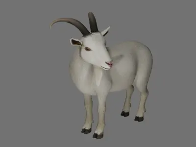 Wild Goat 3D model