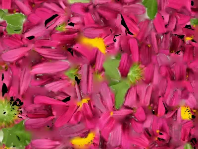 FLOWER SCAN Free 3D model