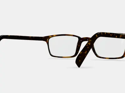 Langhorne Eyeglasses in Whiskey Tortoise 3D model