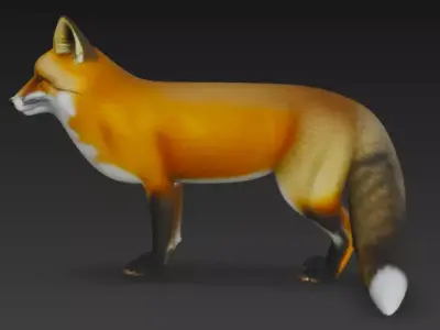 3D Fox Model 3D model