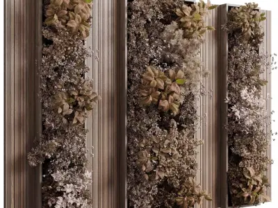 Plants Autumn And Dried Set Partition In Wooden frame 3D model