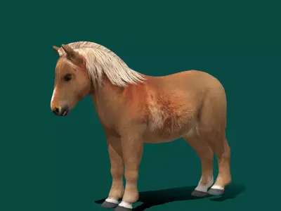 Pony Small Horse Animal Low-poly 3D model