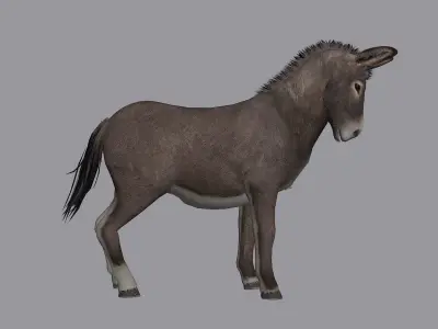 animated donkey Low-poly 3D model
