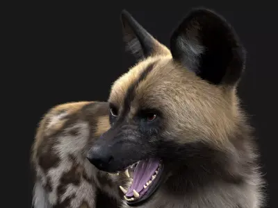 Wild Dog XGen Rigged 3D model