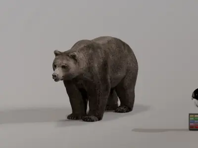 Bear - Rigged Blender 3d model 3D model