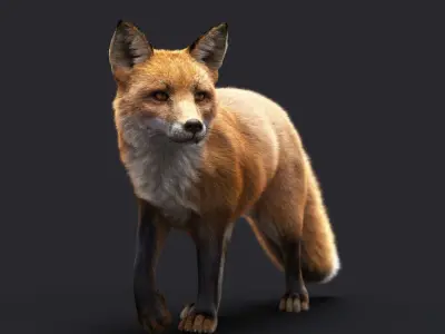 FOX RIG XGEN CORE 3D model