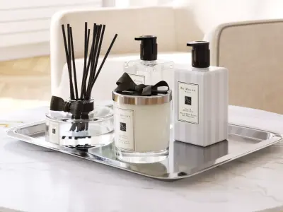 Set of exclusive cosmetics and perfumes on a metal tray 3D model