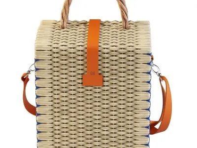 Basket Bag 3D model