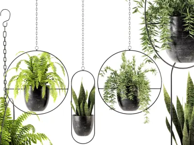 Collection of plants-002 3D model