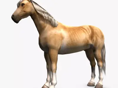 Palomino Horse Low-poly 3D model