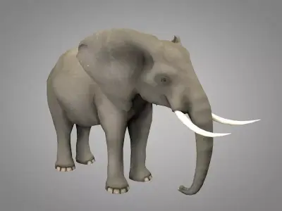 Elephant with tusks Low-poly 3D model