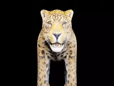 ounce for game 3D model