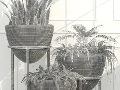 plant 39 Room plants 14 3D model