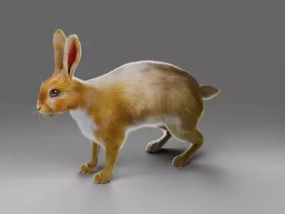 Fur Gray Rabbit NO Rigged  Low-poly 3D model