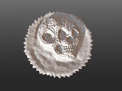 Pirate Coin 3D print model