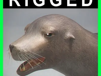 Rigged Seal 3D model