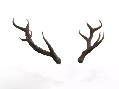 Deer Horns Low-poly 3D model