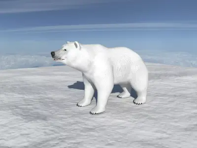 Polar Bear 3D Model with Animations  Game Ready Low-poly 3D model