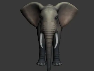 Elephas elephant Low-poly 3D model