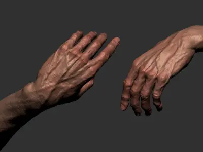 FREE REALISTIC HAND  Free 3D model