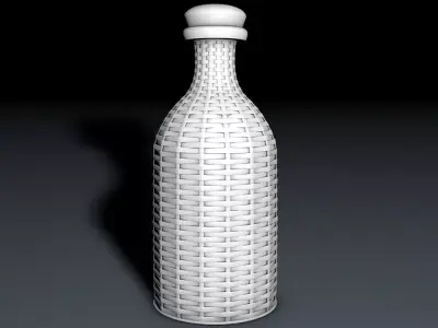 Bottle in weaving 3D model