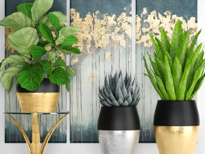 collection luxury plants 3D model