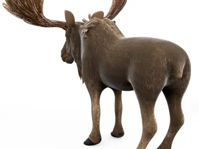 Moose cartoon 3D model