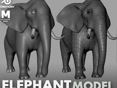 Elephant Model Low-poly 3D model