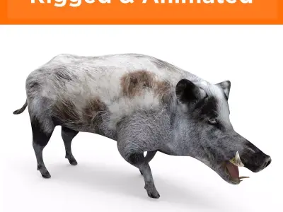 White Wild Boar Rigged and Animated 3D Model Low-poly 3D model