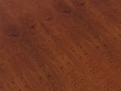 Exotic Burl Wood Veneer Texture