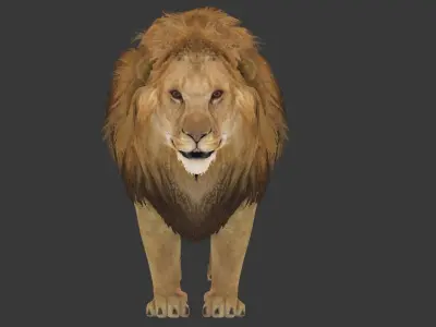 lion animal Low-poly 3D model