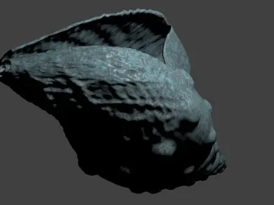 3D model of Conch shell 3D model