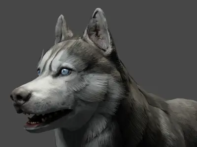 DOG - SIBERIAN HUSKY  Low-poly 3D model