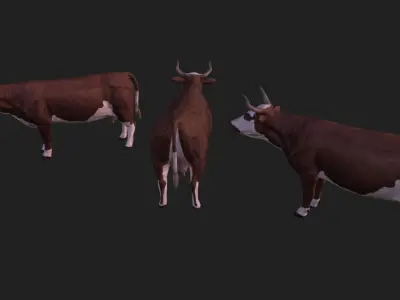 Cow complete animation Low-poly 3D model