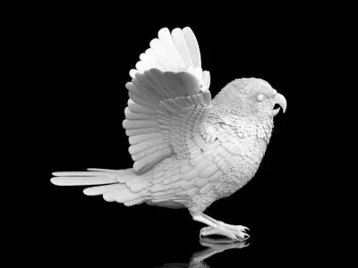 parrot bird with wings spread 3D print model