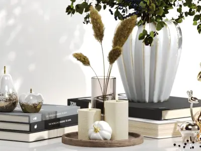 Coffee Table Decorative Set 3D model