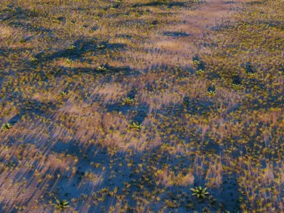 Desert field Free 3D model