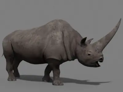 3D Wooly Elasmotherium Rhino 3D model