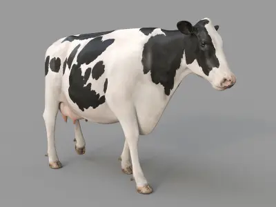 Cow PRO - 3 in 1 Bundle 3D model