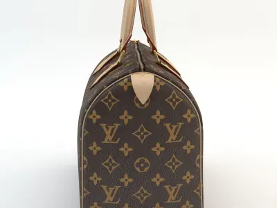 Louis Vuitton Bag 01 3D model
