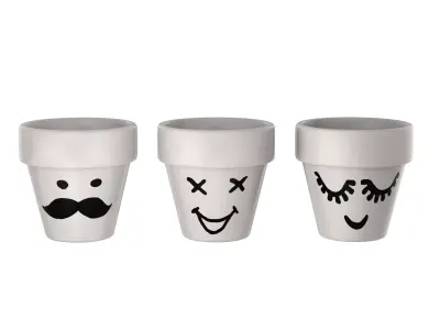 Flower Pots - Emoji 3D model