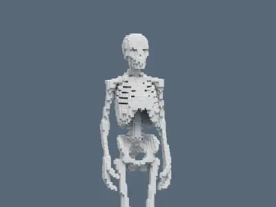 Voxel Skeleton Low-poly 3D model