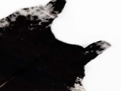 Four rugs from animal skins 01 3D model