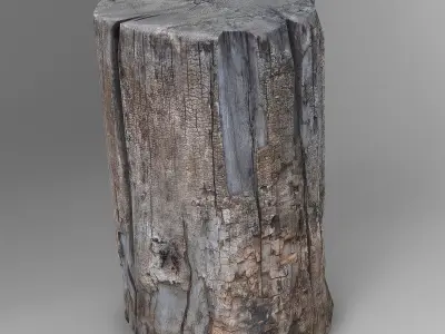 Tree Logs Low-poly 3D model